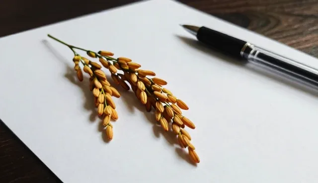种植管理中农业技术培训的误区与正确理解