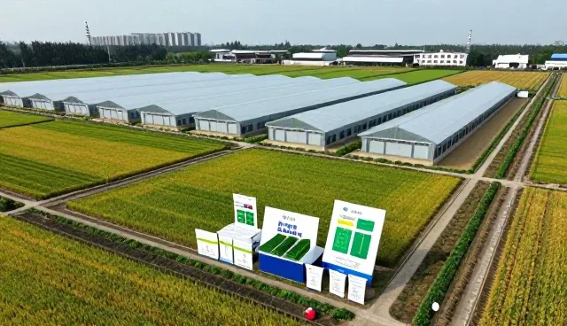 农产品销售模式在不同场景下的应用分析